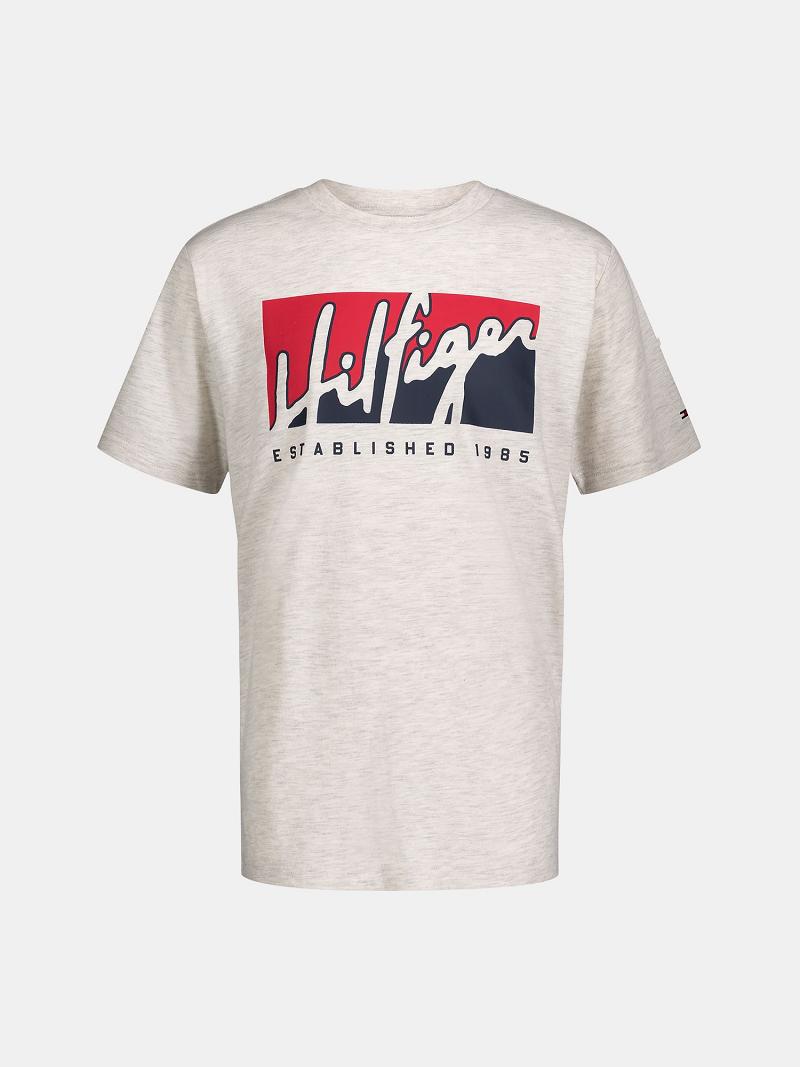 Fiú Tommy Hilfiger Big Logo Script Póló Fehér | HU 2245ZUT